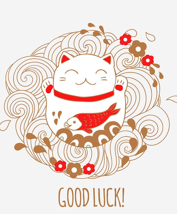 怀孕狗狗桃子流脓：及时发现与处理的温馨故事